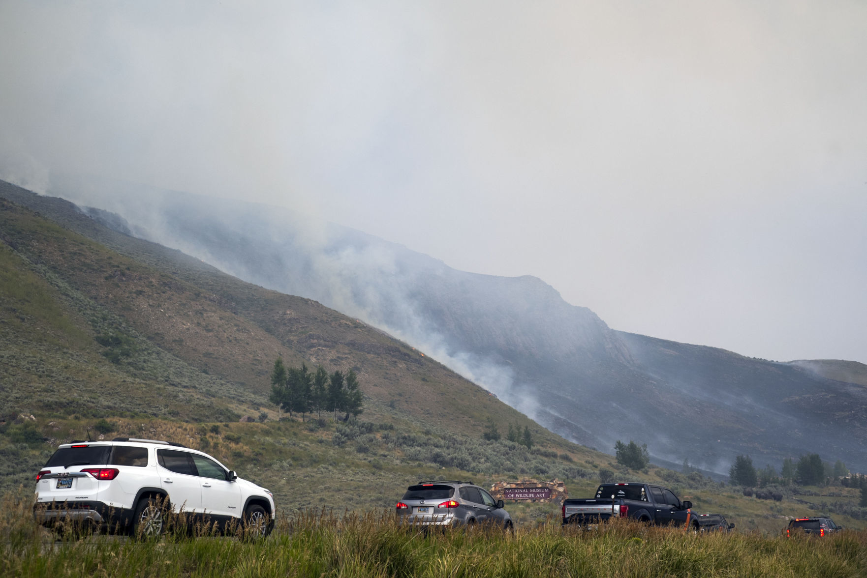 Wildlife Museum Fire